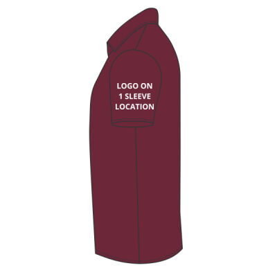 Bandstands men's polo shirt - chest, arm and back print Thumbnail