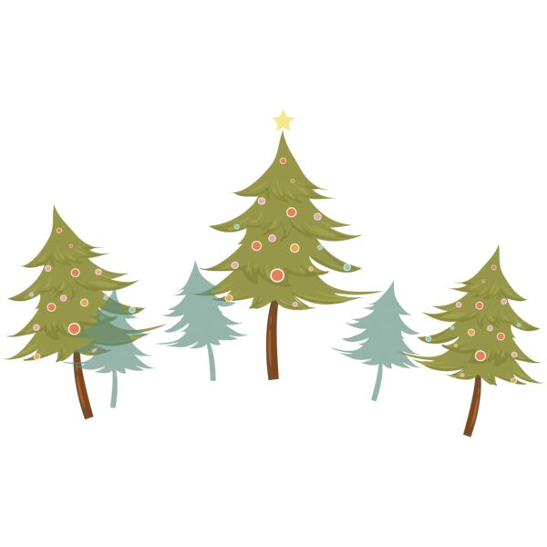 Christmas trees in a wood Thumbnail
