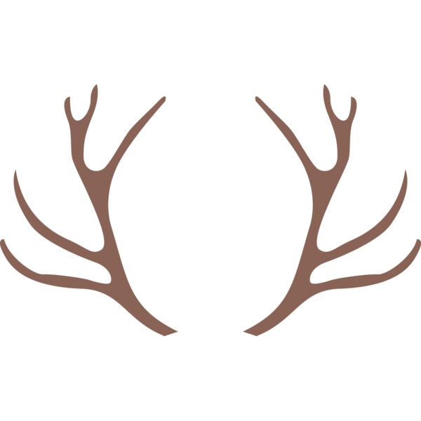 Reindeer antlers Thumbnail