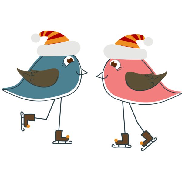 Skating birds Thumbnail