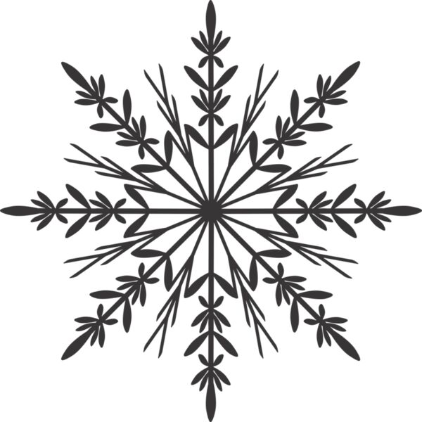 Snowflake 1 Thumbnail