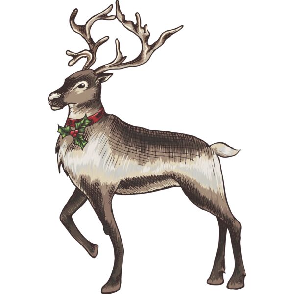 Traditional reindeer Thumbnail