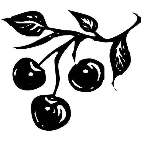 cherries 5 Thumbnail