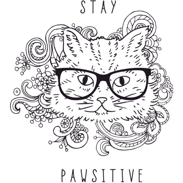 Stay pawsitive Thumbnail