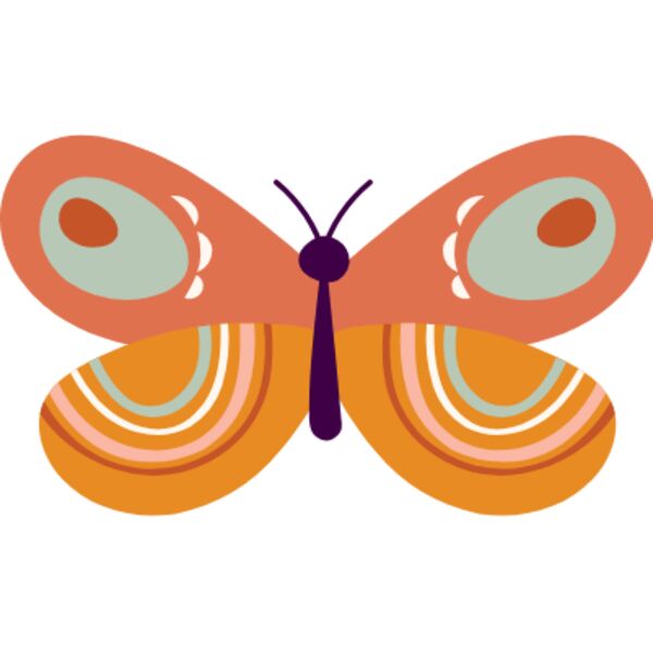 Pink and orange patterned butterfly Thumbnail