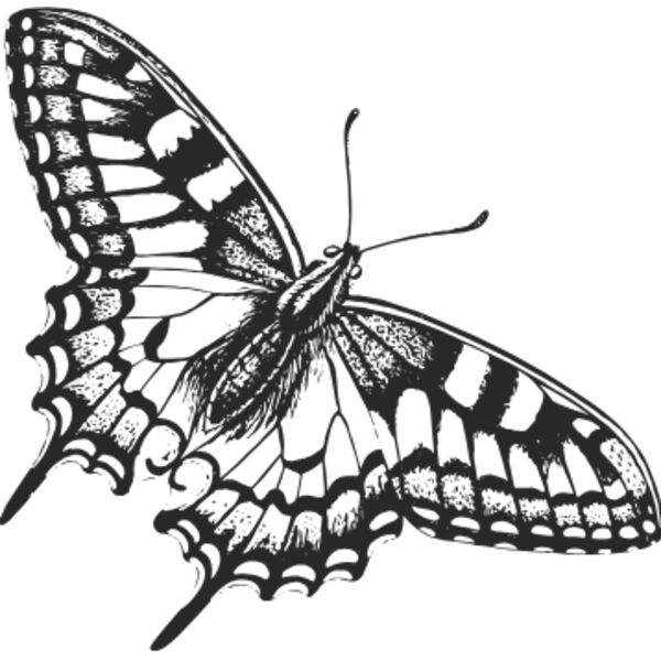 Vintage butterfly 2 Thumbnail