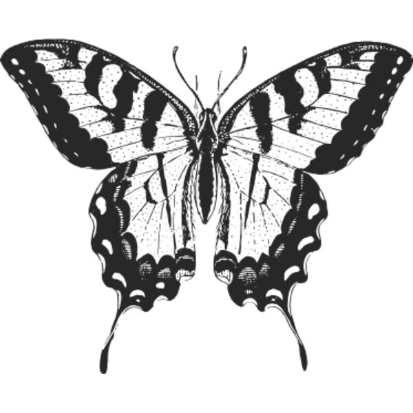 Vintage butterfly 5 Thumbnail