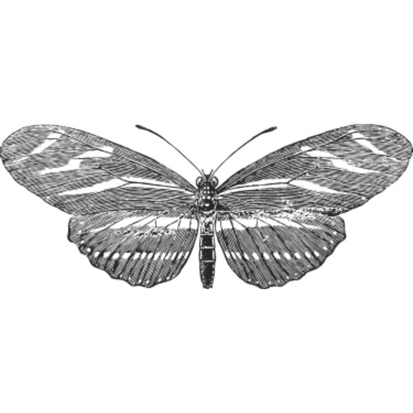 Vintage butterfly 8 Thumbnail