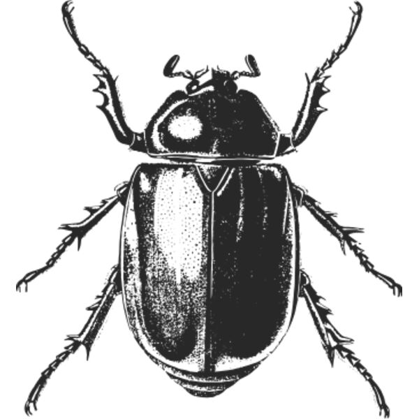 Vintage beetle 9 Thumbnail