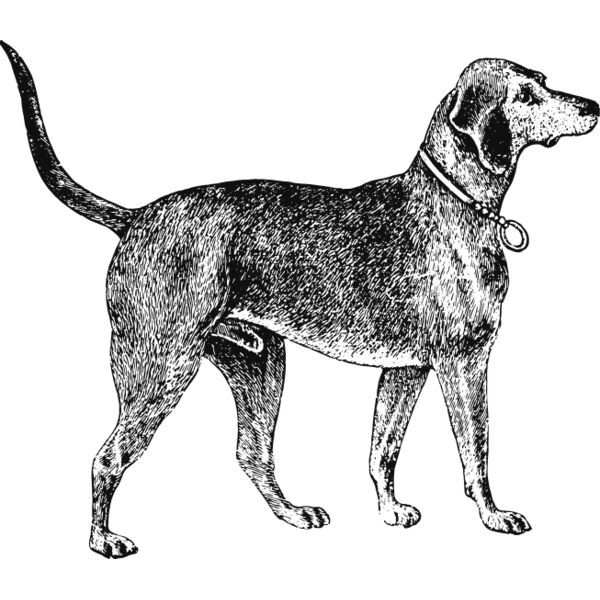 Dog vintage print 1 Thumbnail