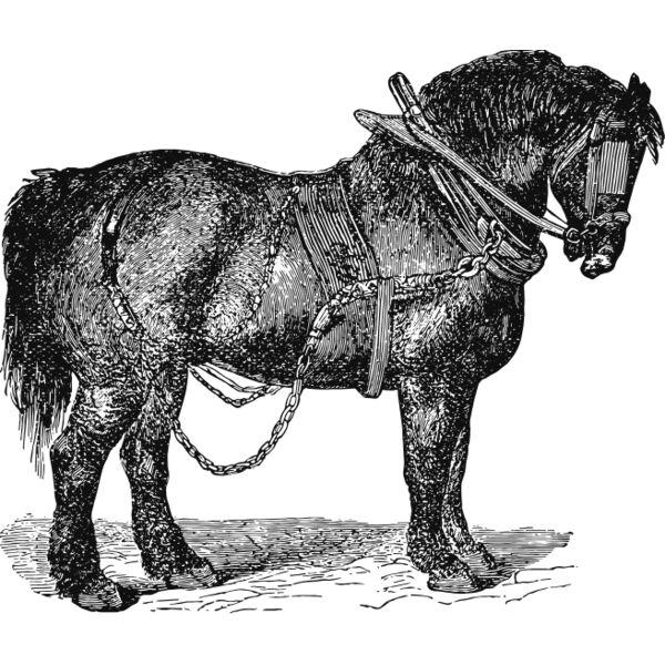 Horse vintage print 2 Thumbnail