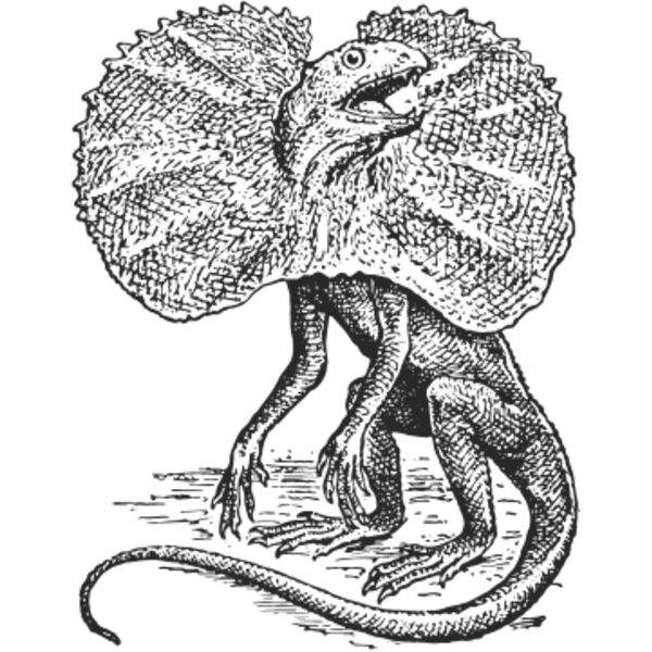 Lizard vintage print 1 Thumbnail