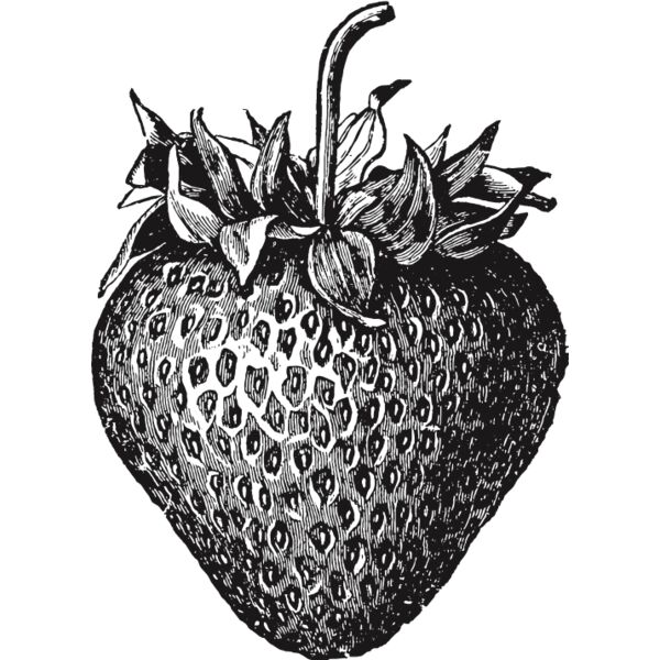 fruit garden 79 Thumbnail