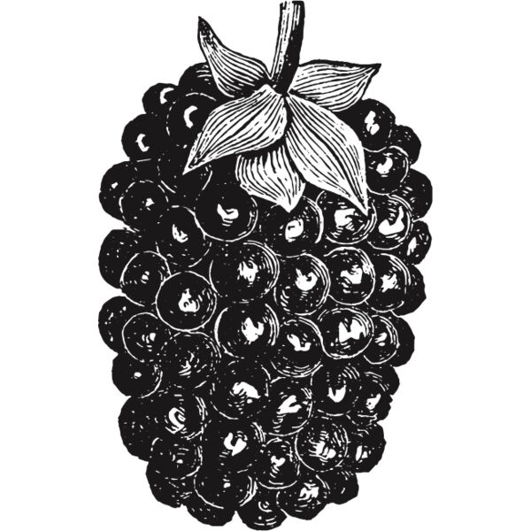 fruit garden 56 Thumbnail