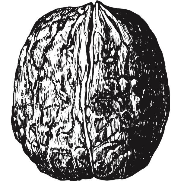 fruit garden 95 Thumbnail