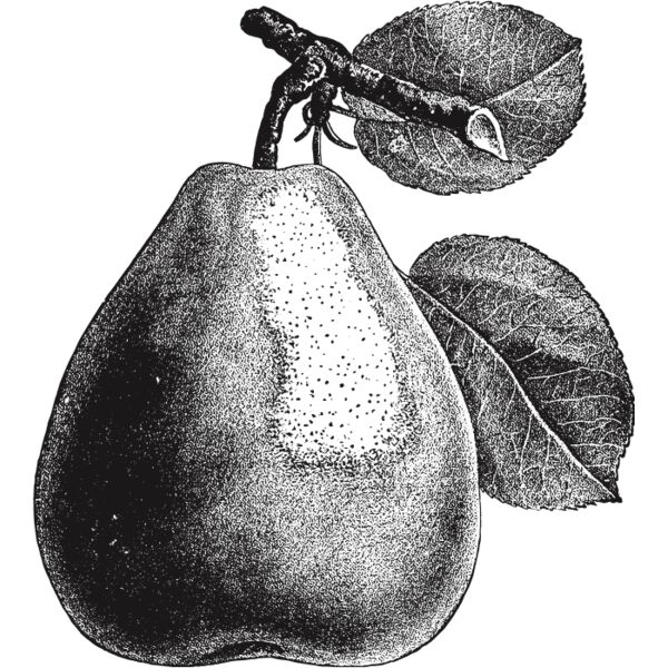 fruit garden 6 Thumbnail