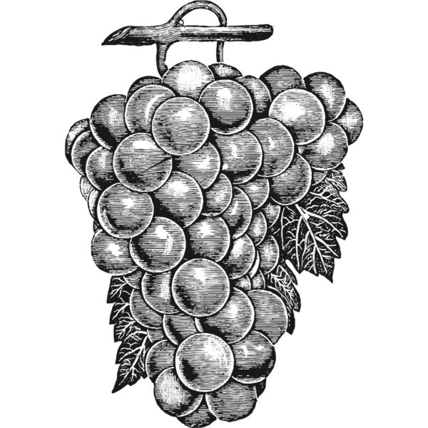 fruit garden 34 Thumbnail