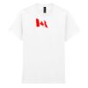 Heavyweight unisex t-shirt Thumbnail